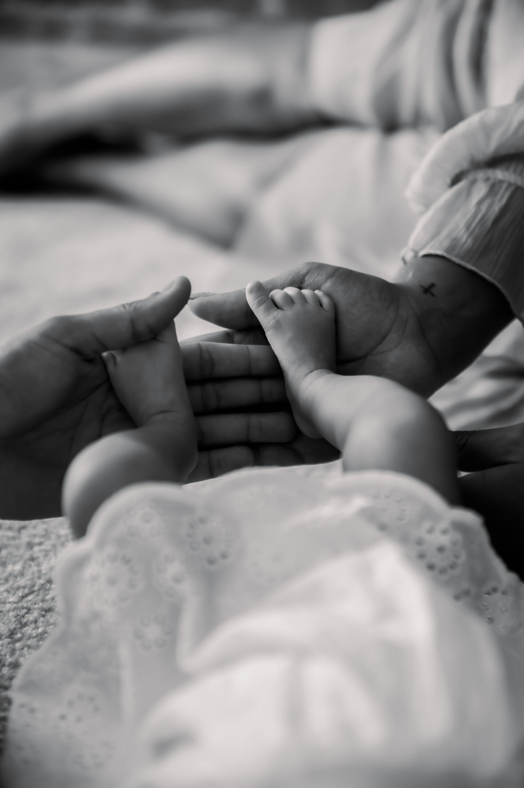 Professional photo of newborn's feet in photography studio in Queensbury, NY